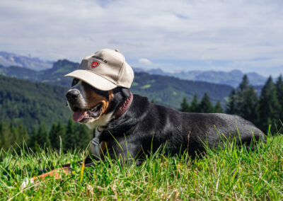 First Animal, Česká republlika-2